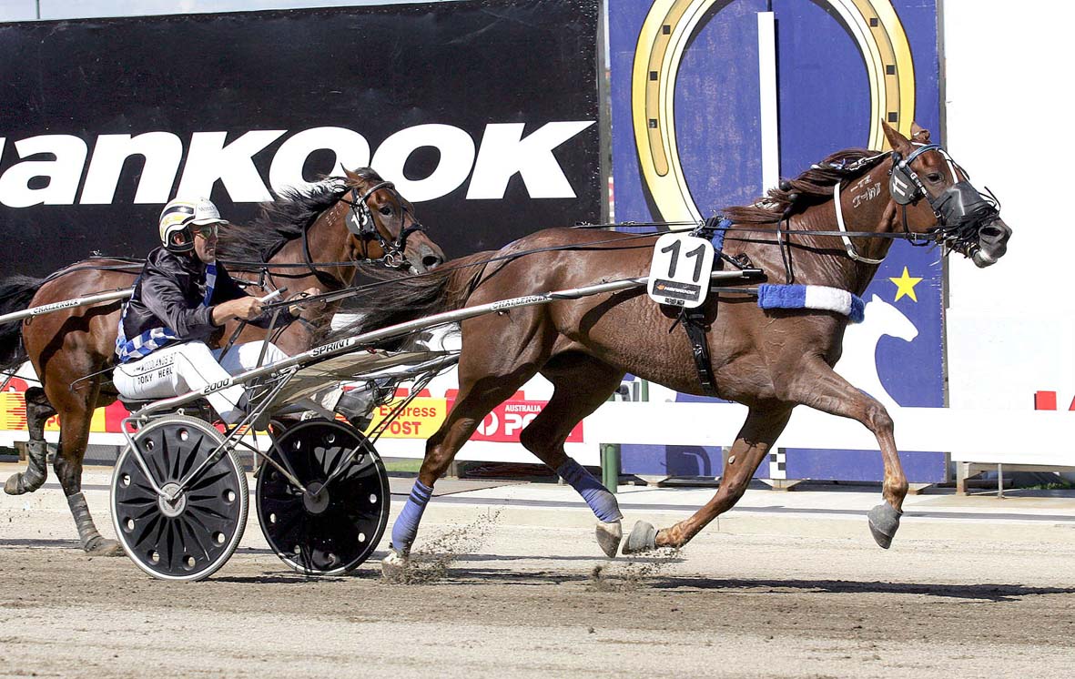 Kiwi seeking revenge for star dam