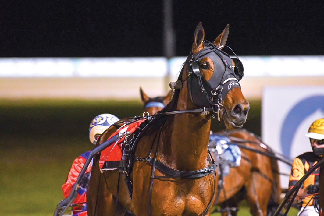 Victory's the 'Ultimate' option