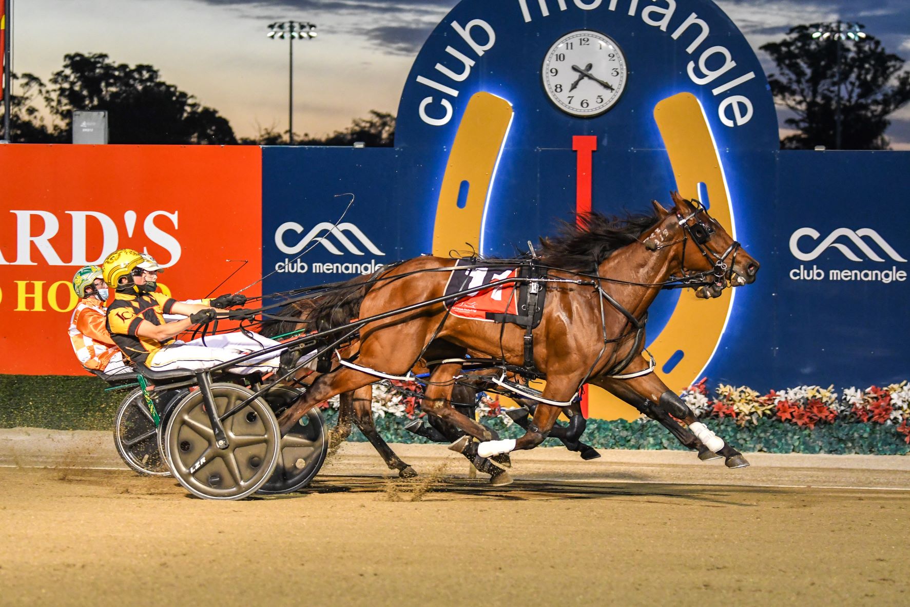 Leading trainer has plenty of options for Qld carnival