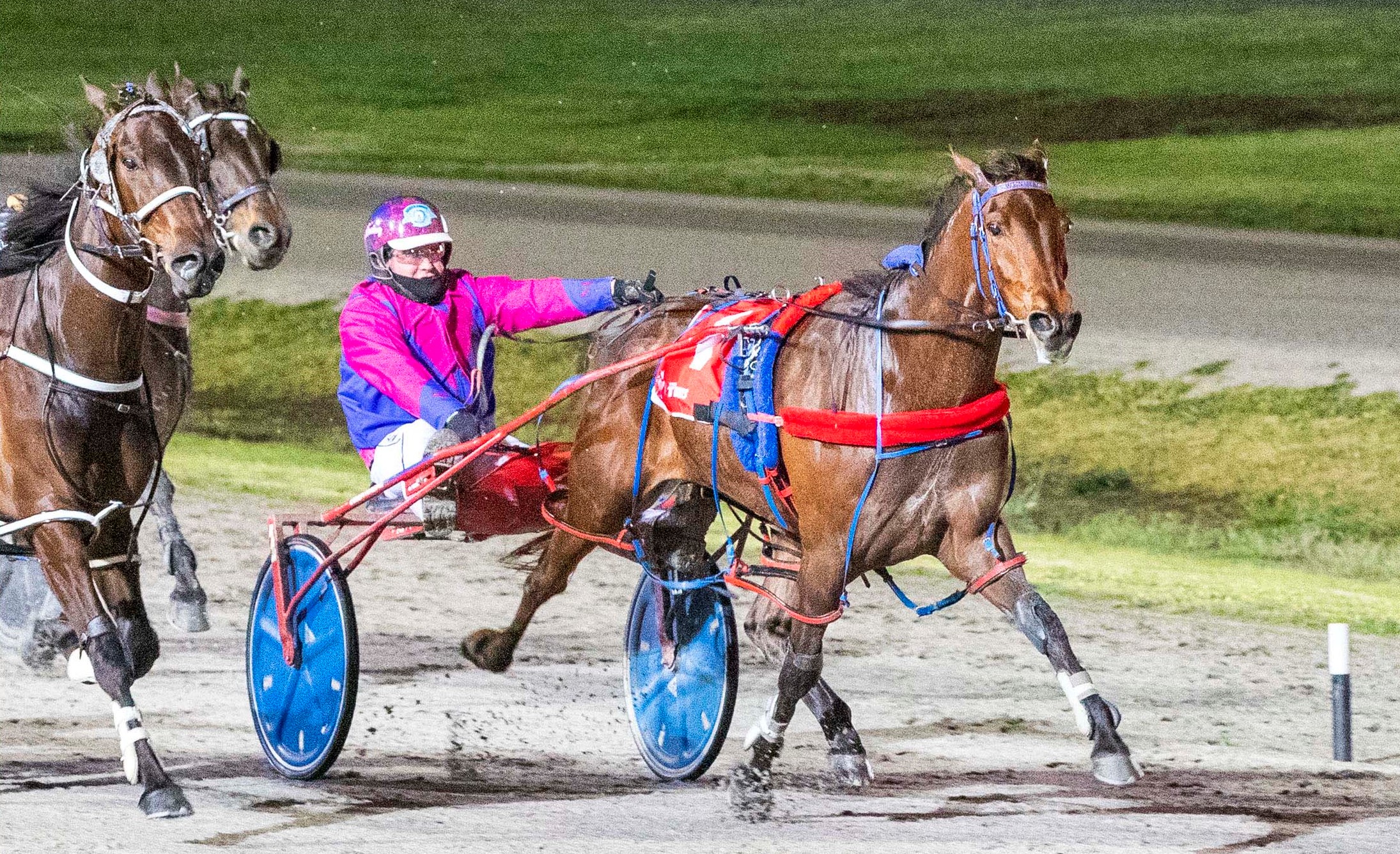 Evergreen pacer secures first Miracle Mile berth