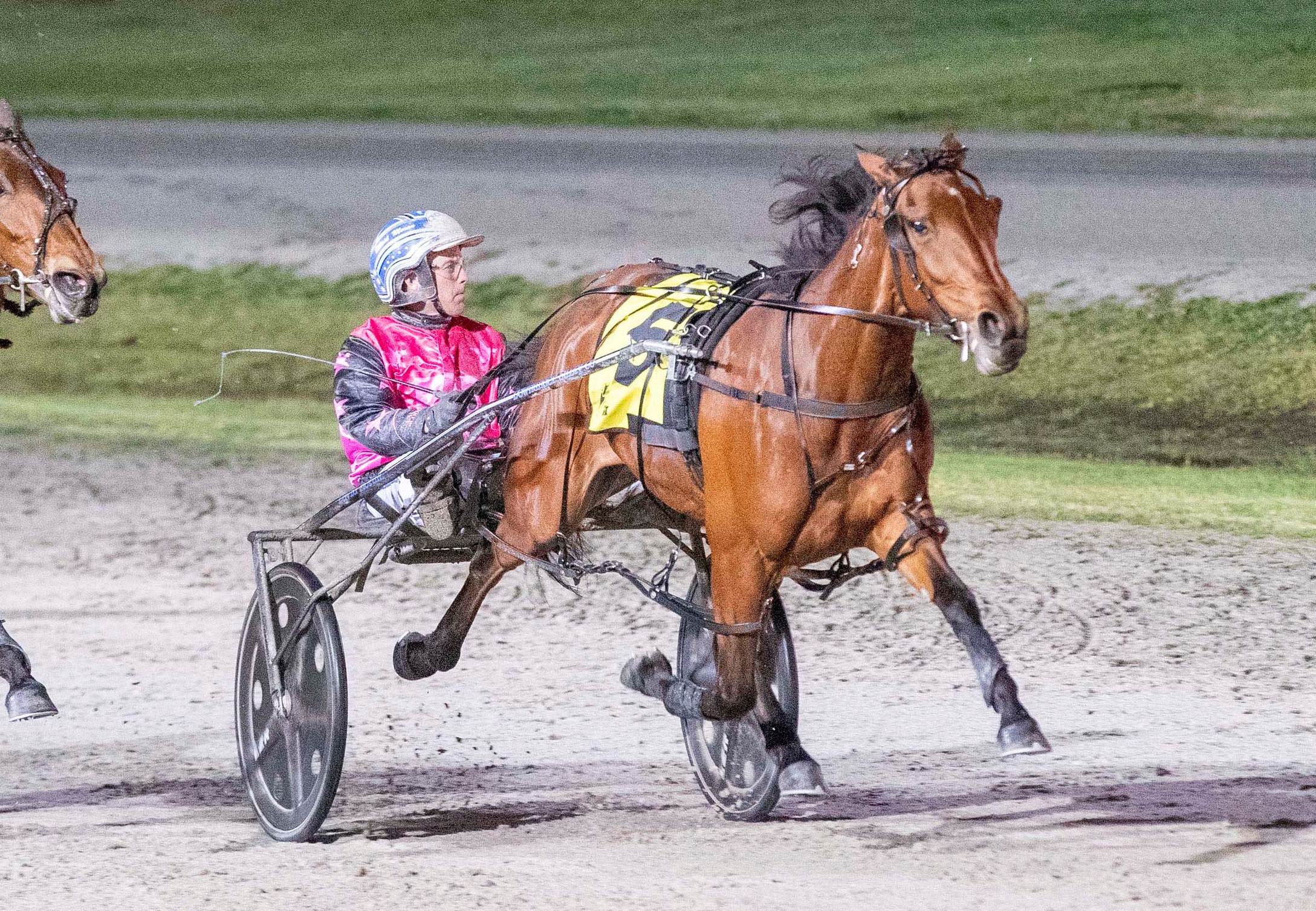 Too early for comparison with champion sibling