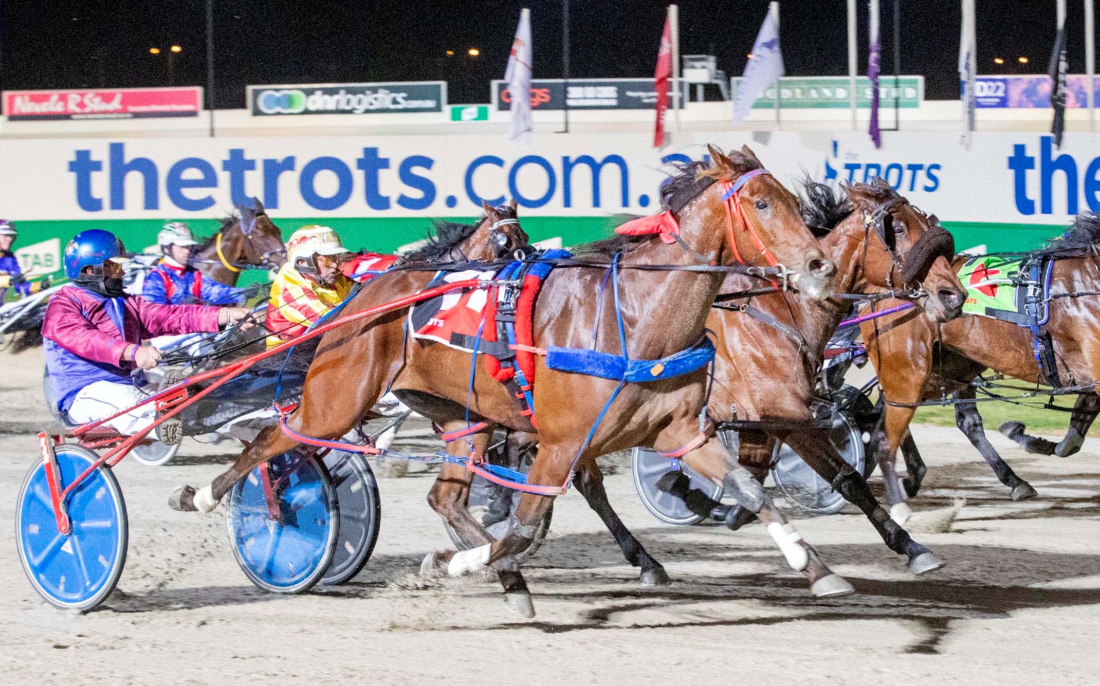 Veteran accustomed to bad draws and long odds