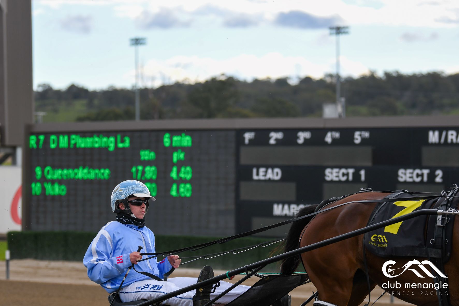 Onwards and upwards as mighty mare heads for NZ