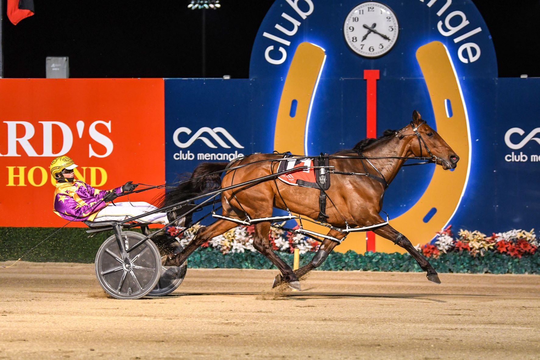 Mike Ko'cass unearths all the winners at Tabcorp Park Menangle Saturday night