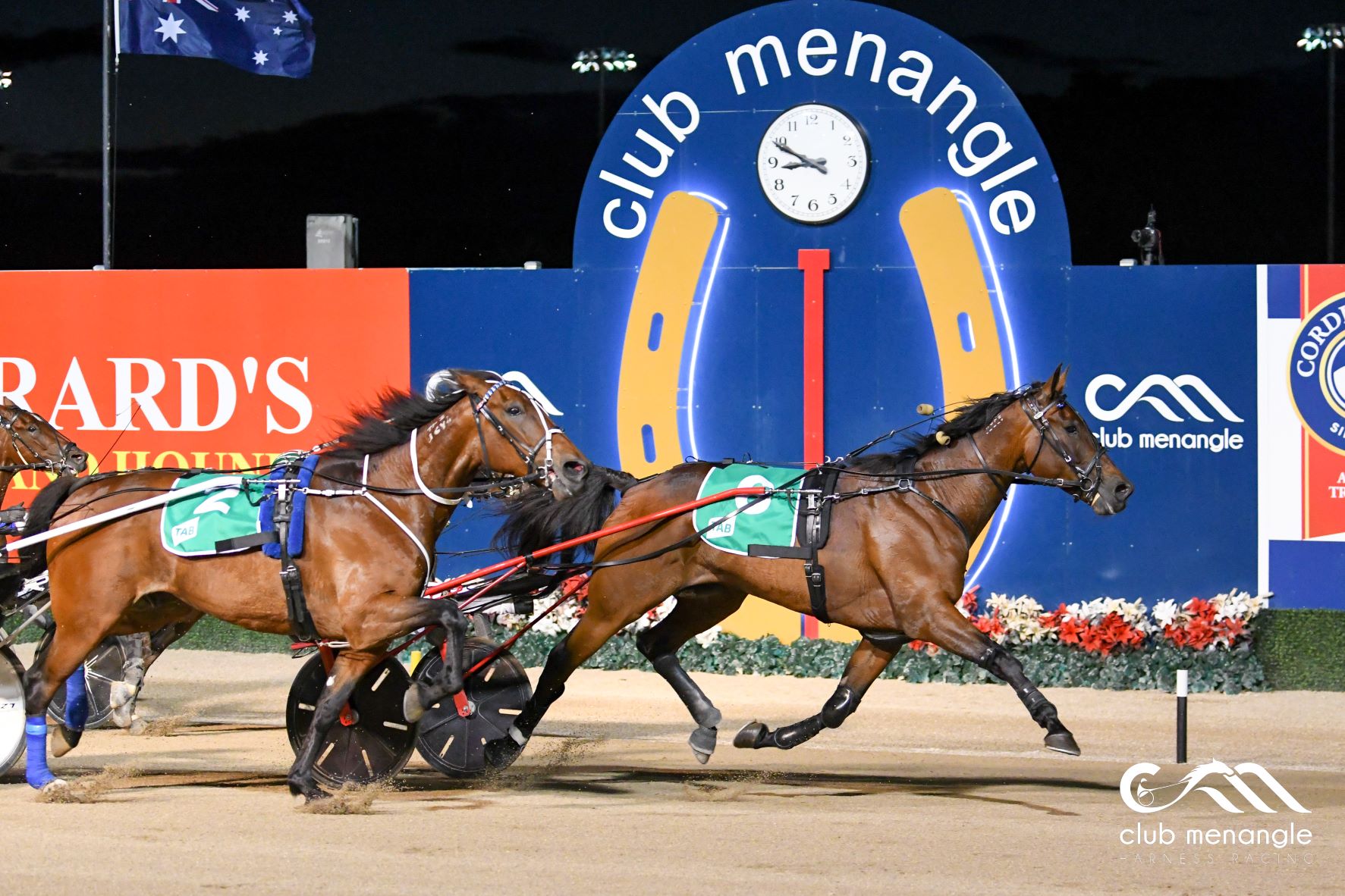 Injury ends Inter Dominion winner's career