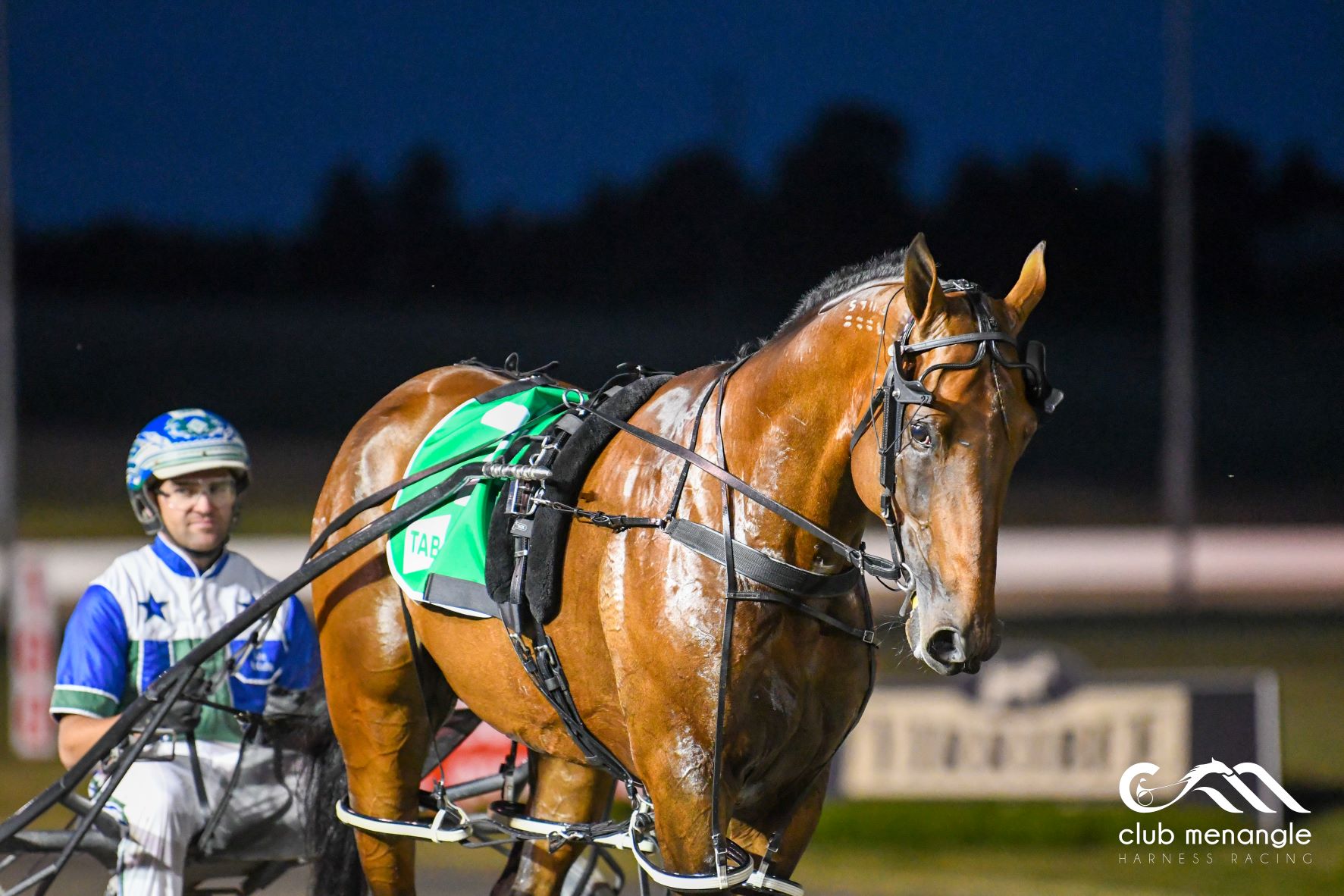 'Fab Four' ready for Australasia's most prestigious sprint