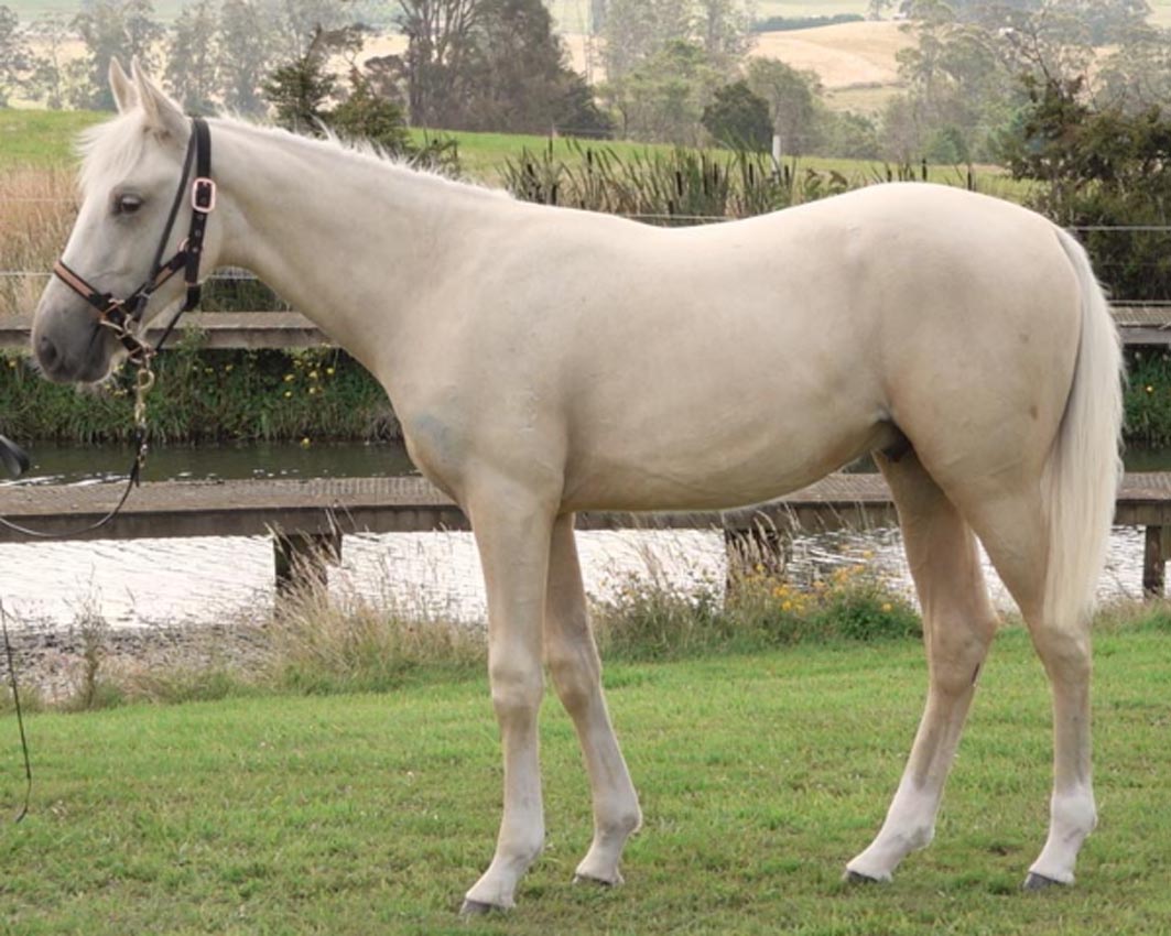 Adding colour to APG Sale