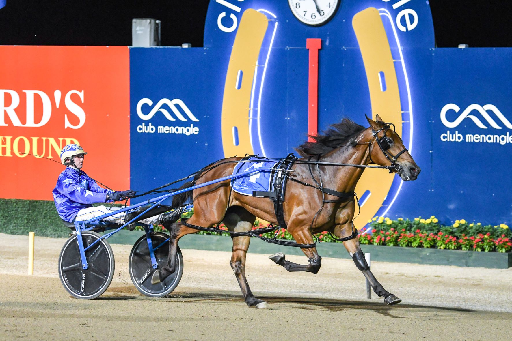 Americans offer big money for Group One winner