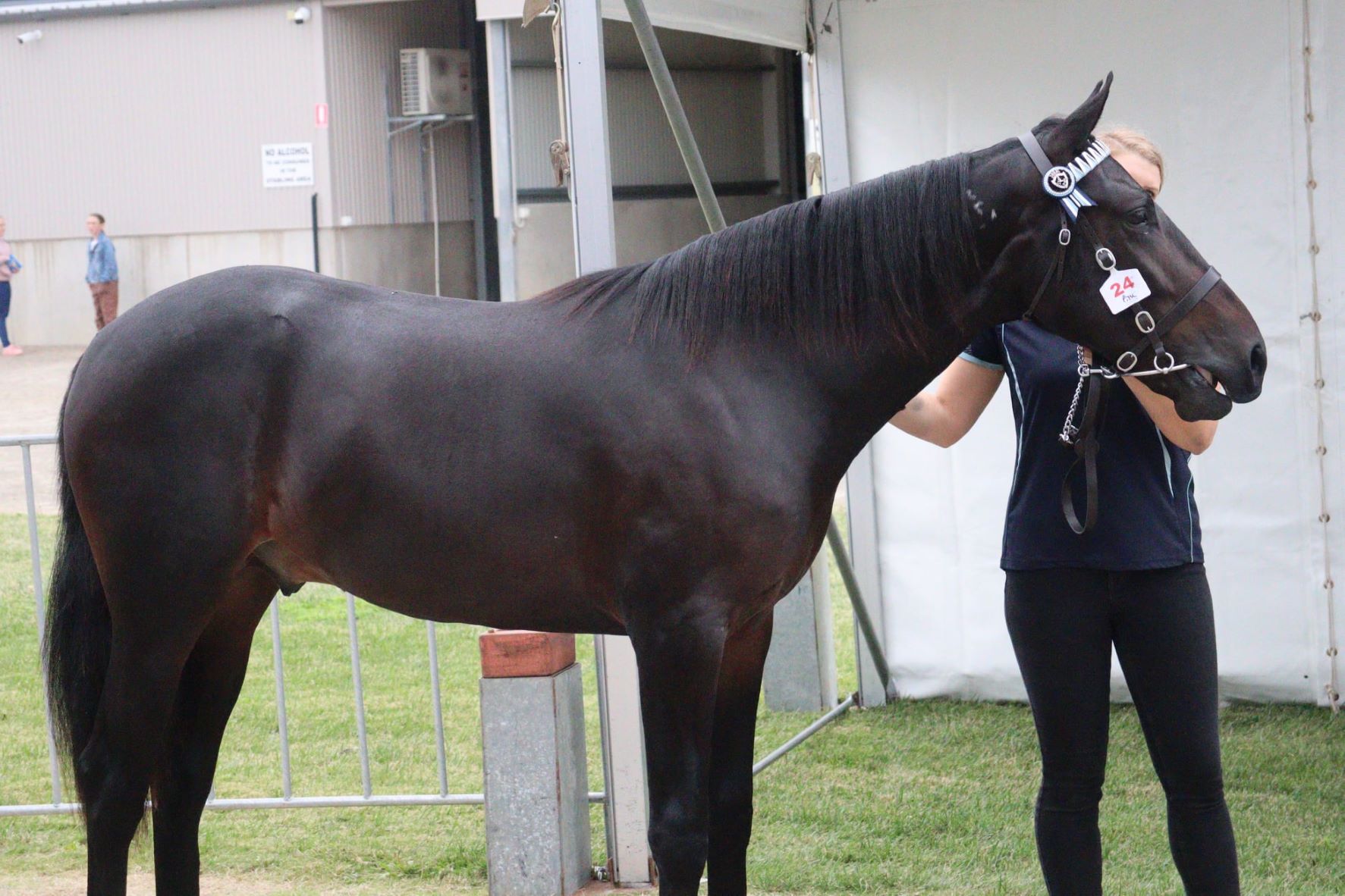 Leading NSW breeders back Bathurst sale