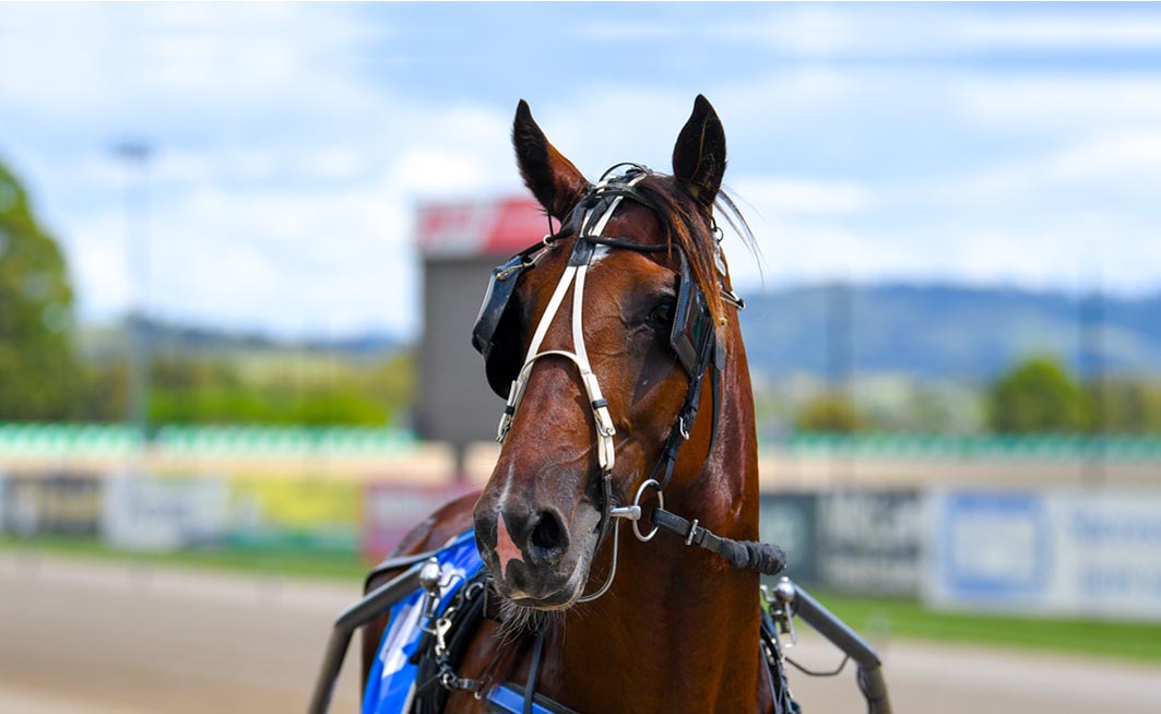 From lion wrangler to prominent standardbred breeder