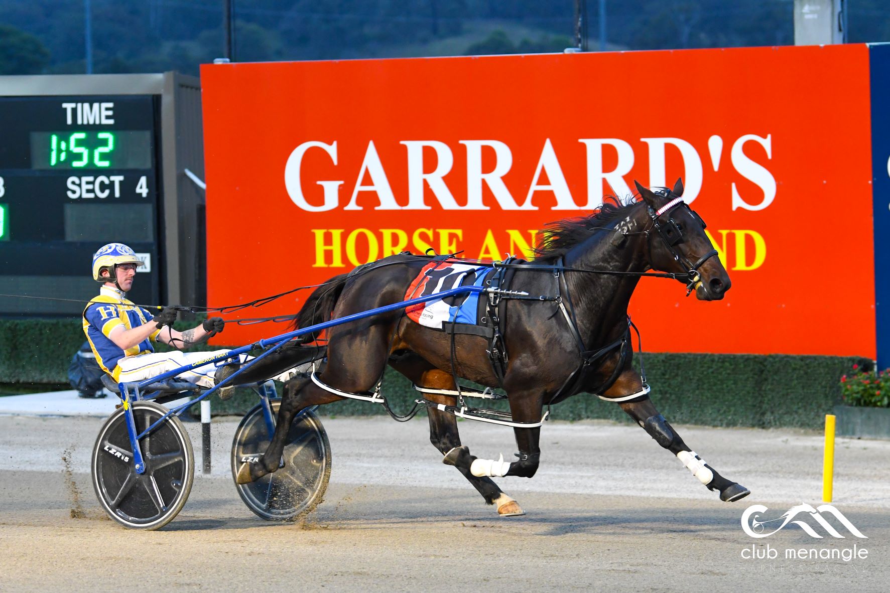In-form stable eyeing a big night at Menangle