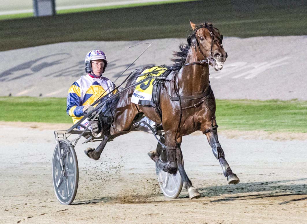 photography: Stuart McCormick | National Trotguide