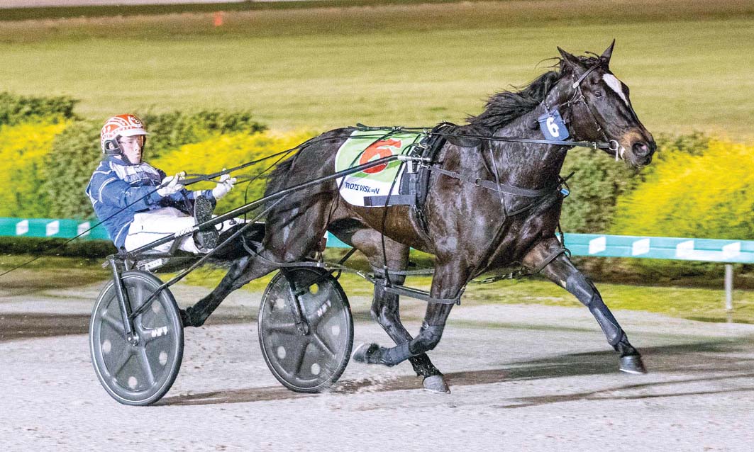 Back in search of more Group One glory