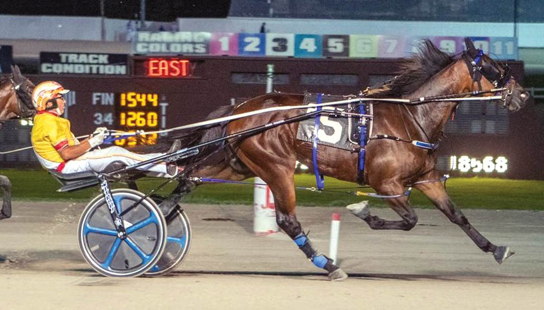 Freshman trotter sets world record