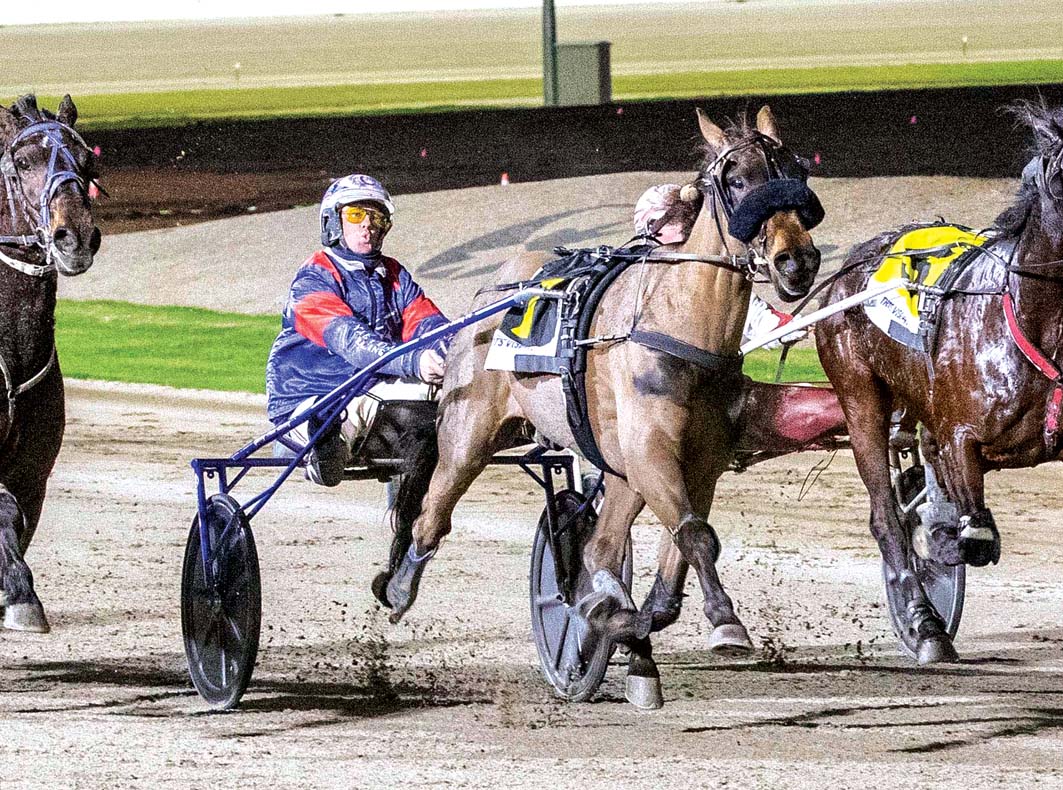 Triple trotting treat