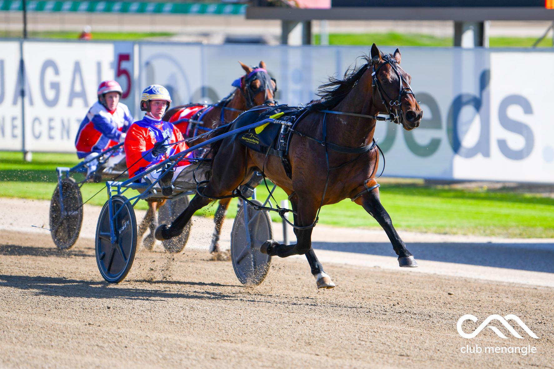 Sydney star after a winning start to Eureka campaign