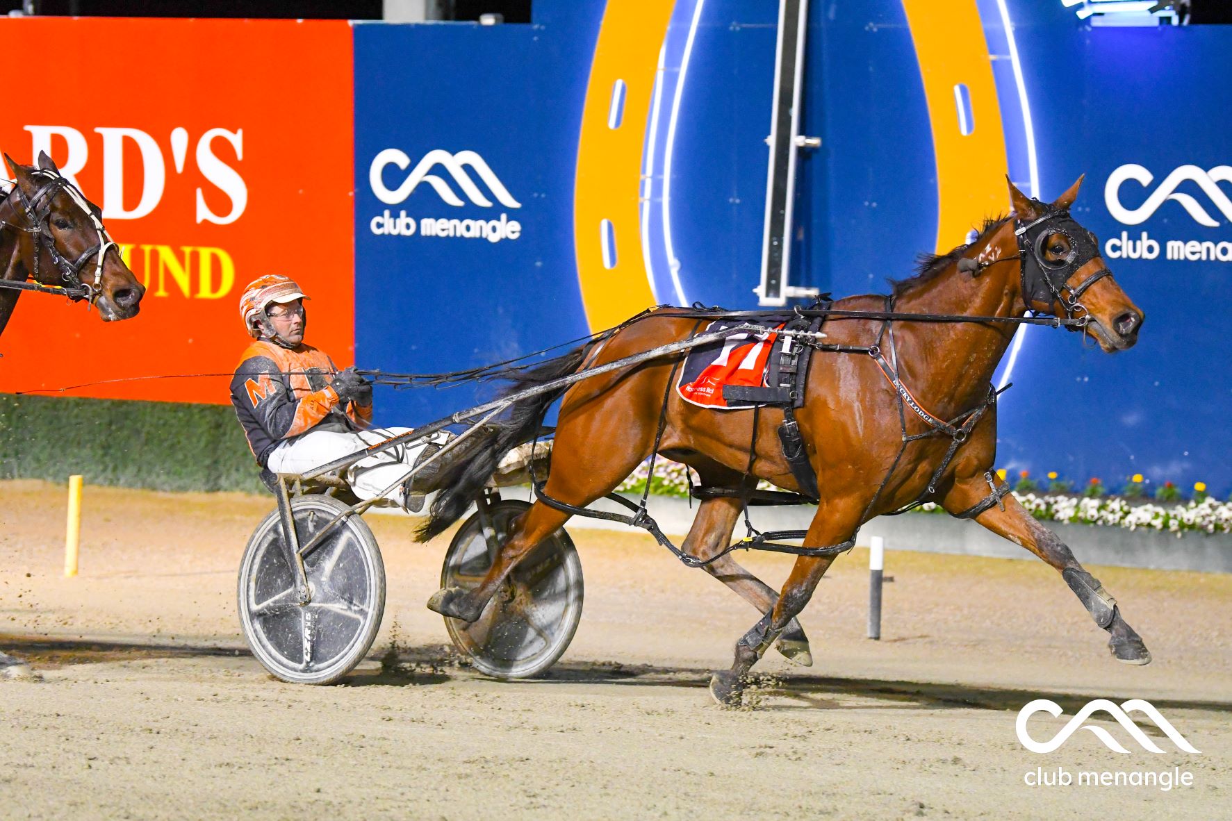 Josh looking to add to his stellar year