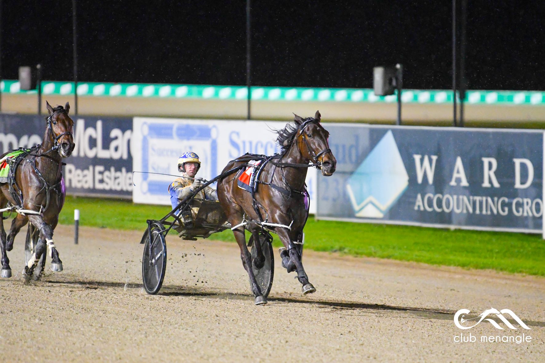 Tay Tay the stand-out special on Menangle card