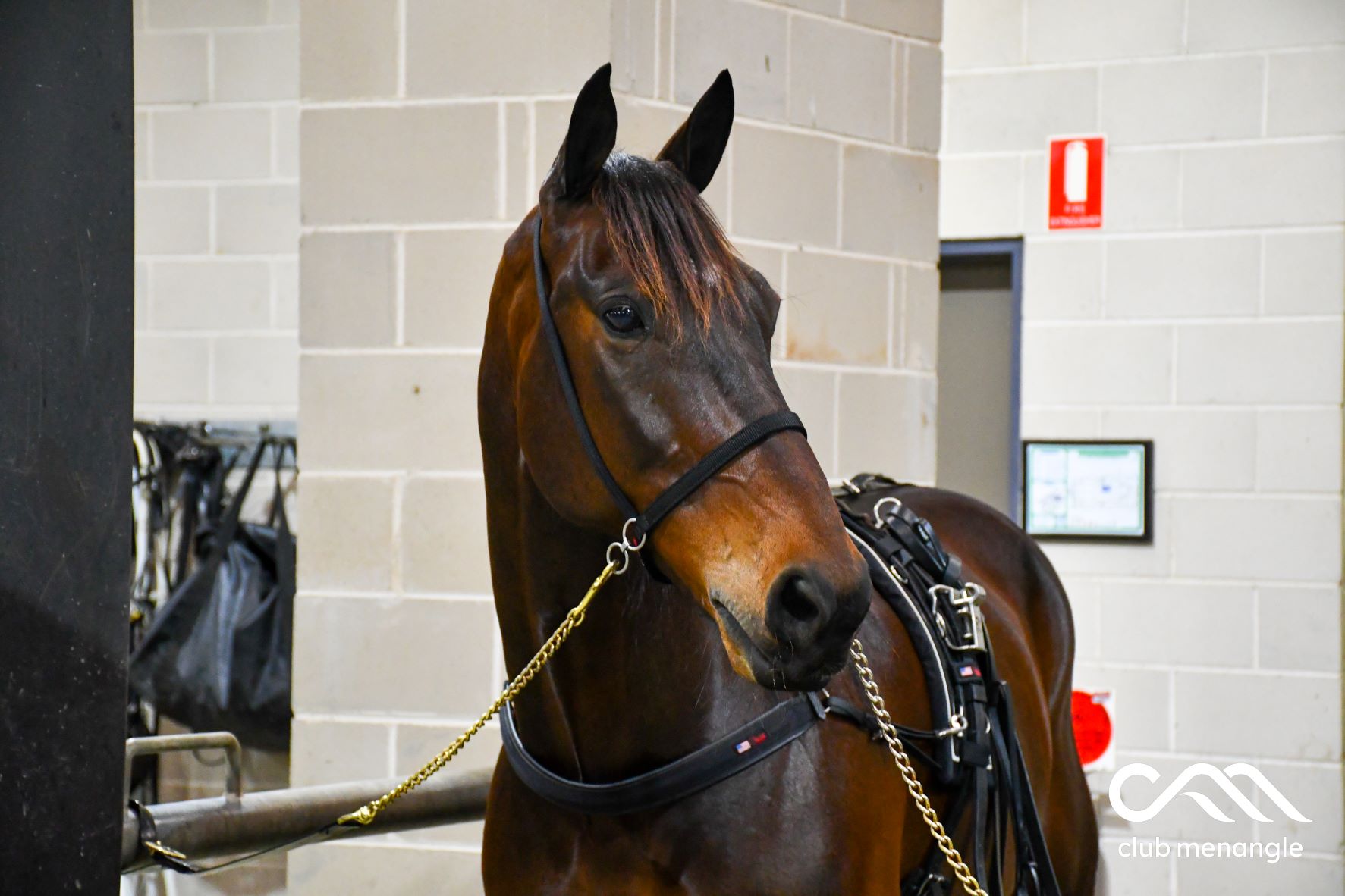 'Cruiser' in control - bring on the Inter Dom