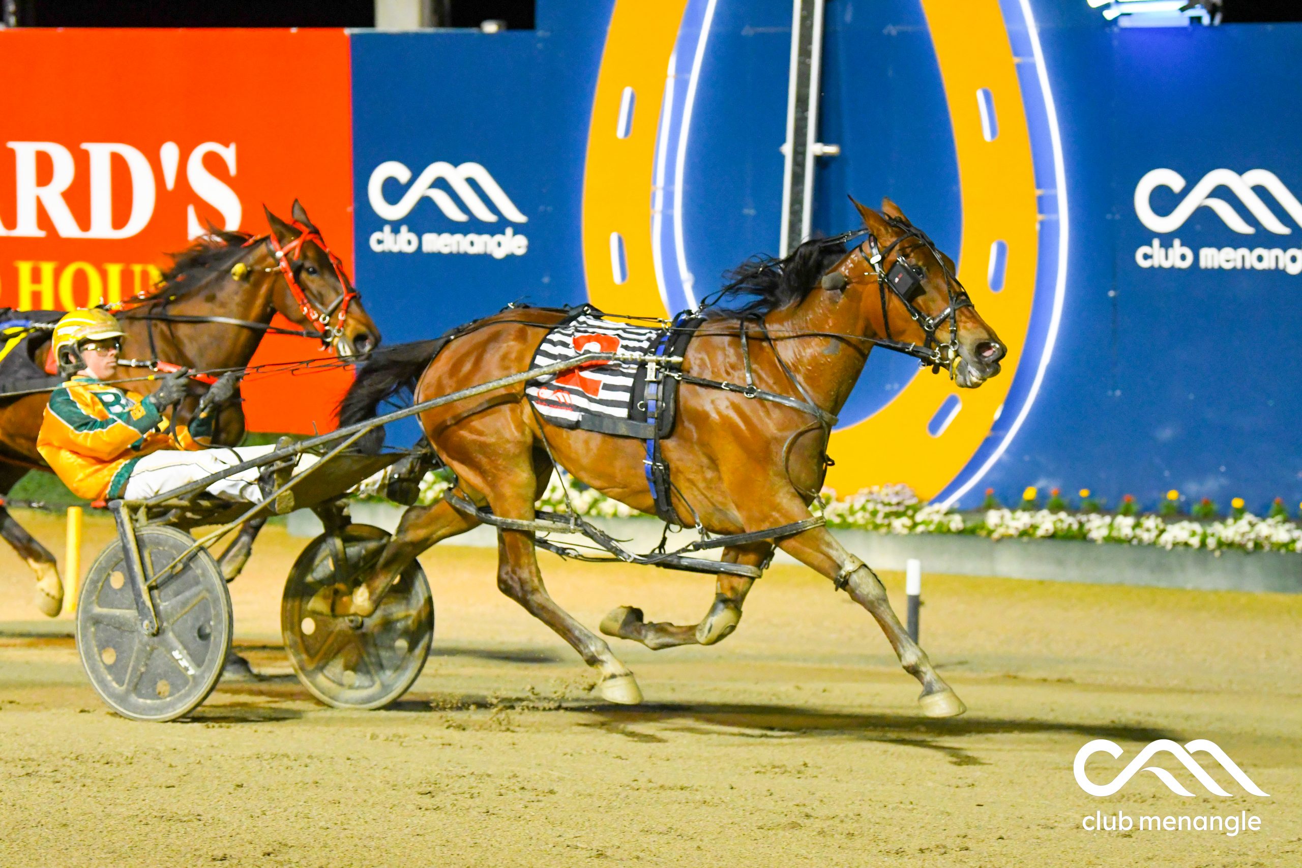 Our best bets on two action-packed harness programs