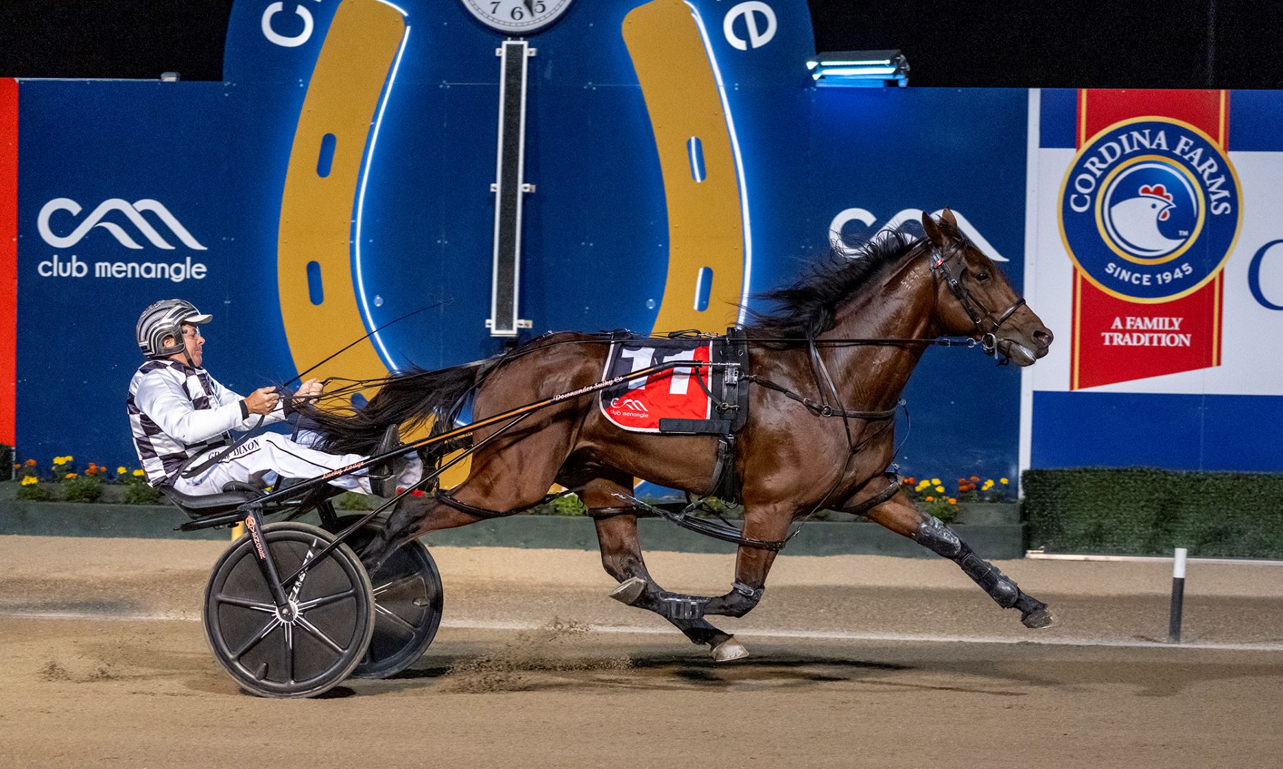 Horror draw for defending champion