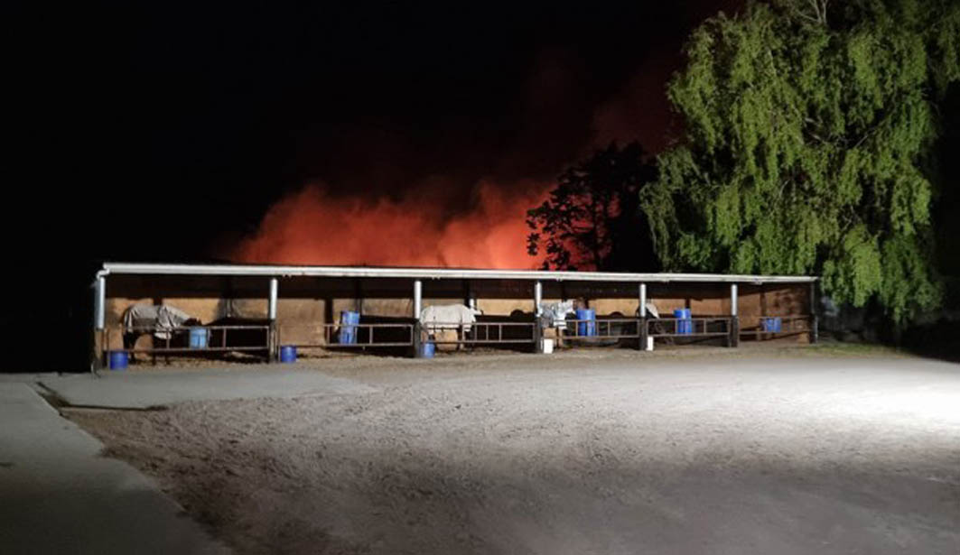 Horses evacuated amid fierce blaze