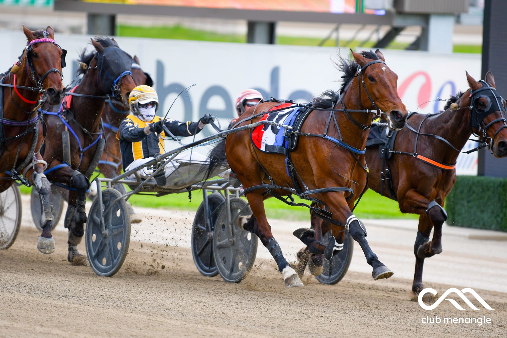 Hellofalass one of four Menangle specials for Tuesday
