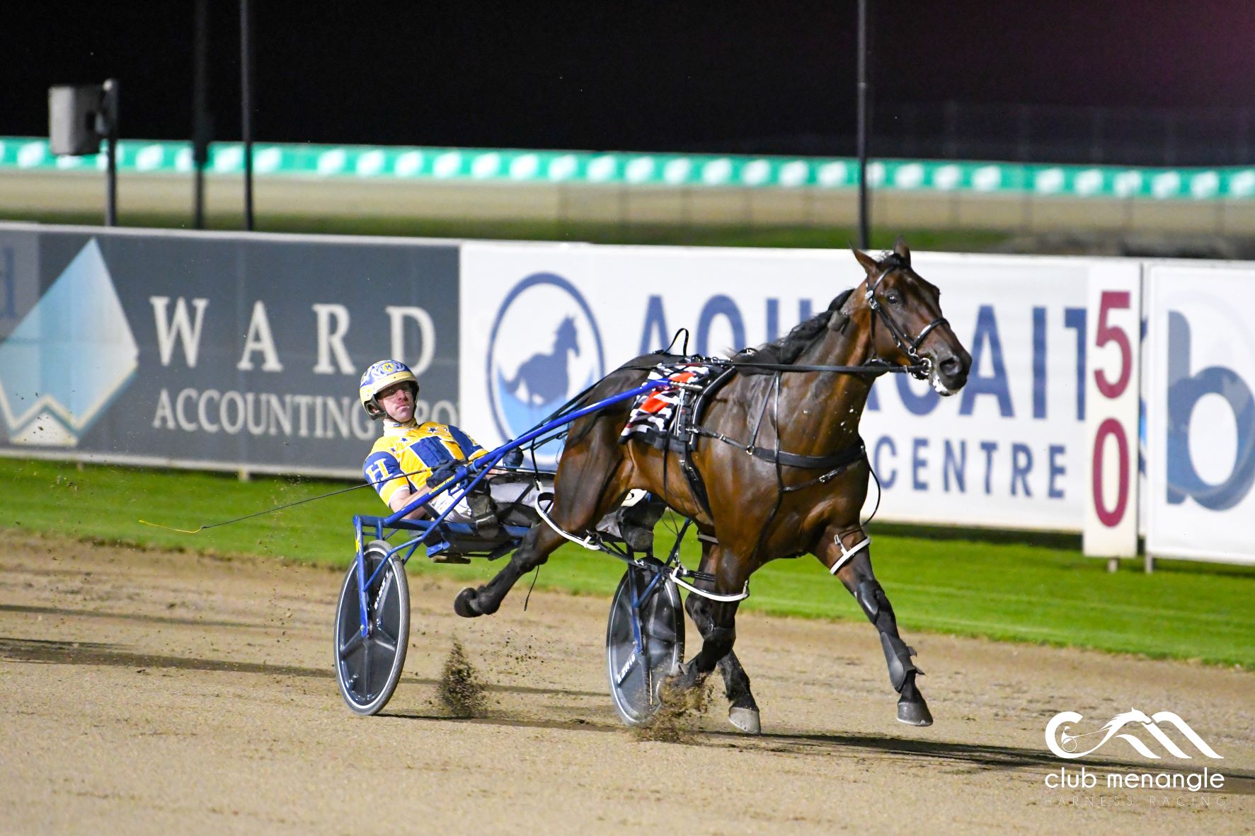 Specials galore for Menangle, Melton from our form expert