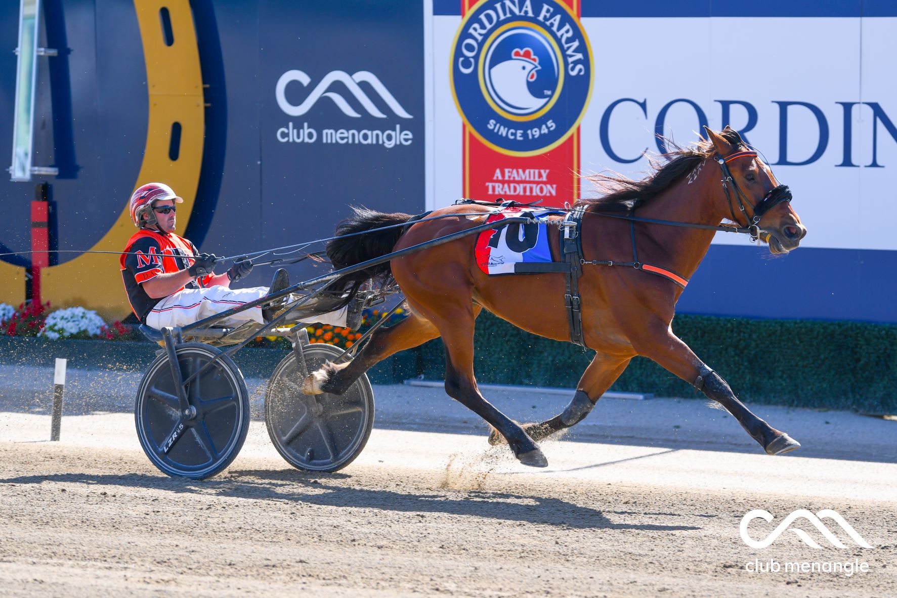 Four Late Mail specials for Menangle Tuesday