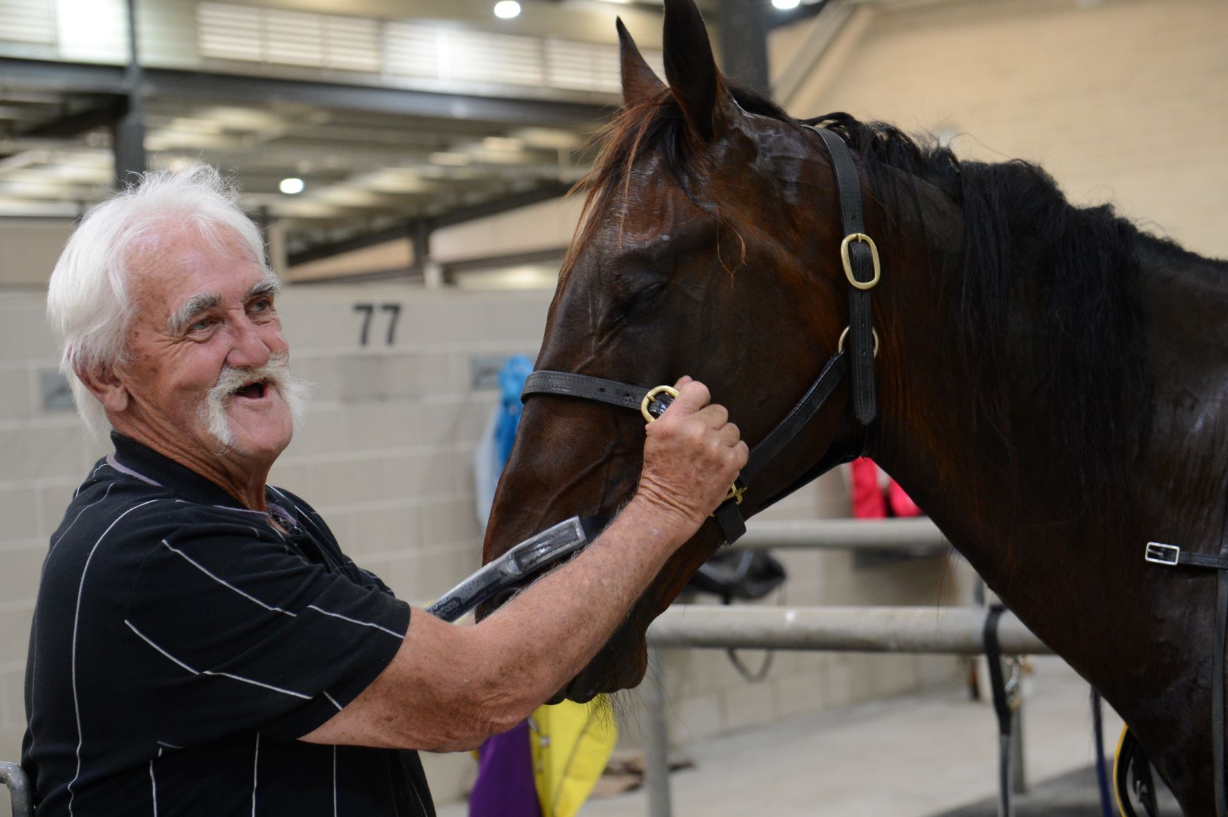 Greg happy to be back in the spotlight