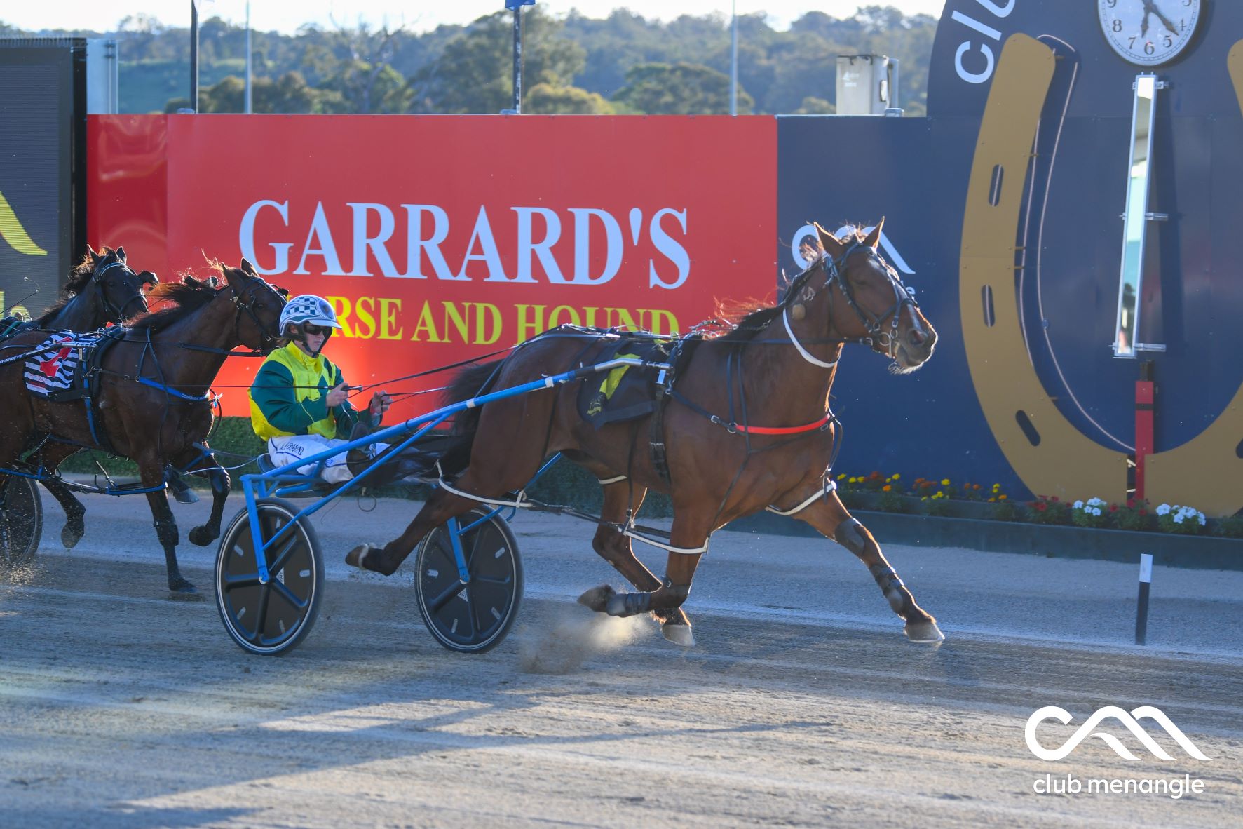Finding you a winner - or three - at Menangle Saturday night
