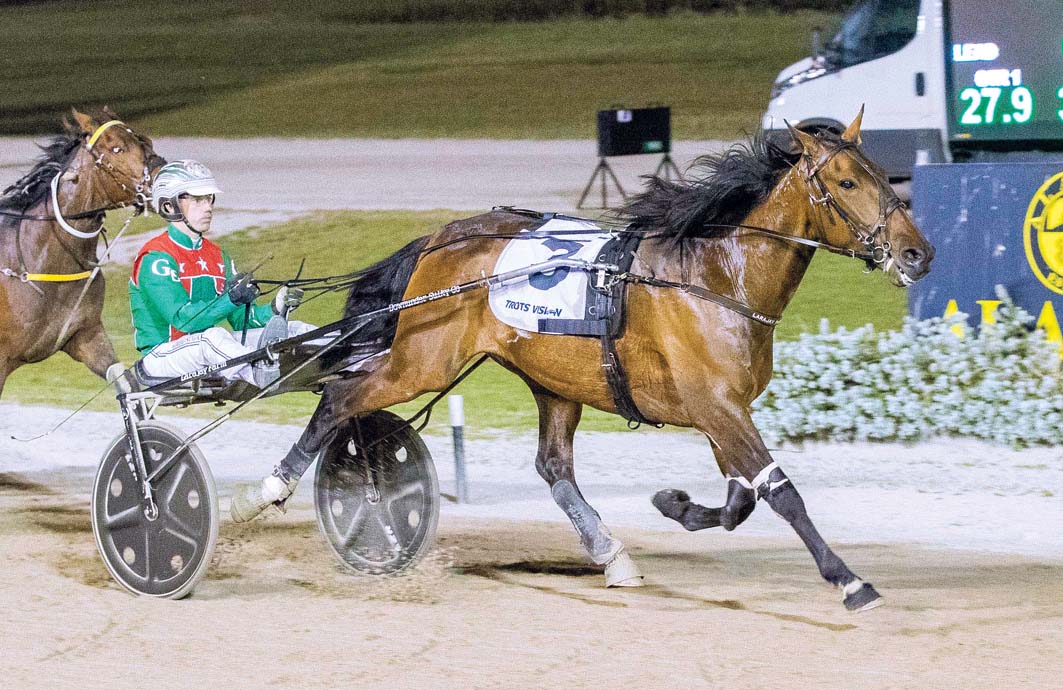 Harry right at home among the Legends