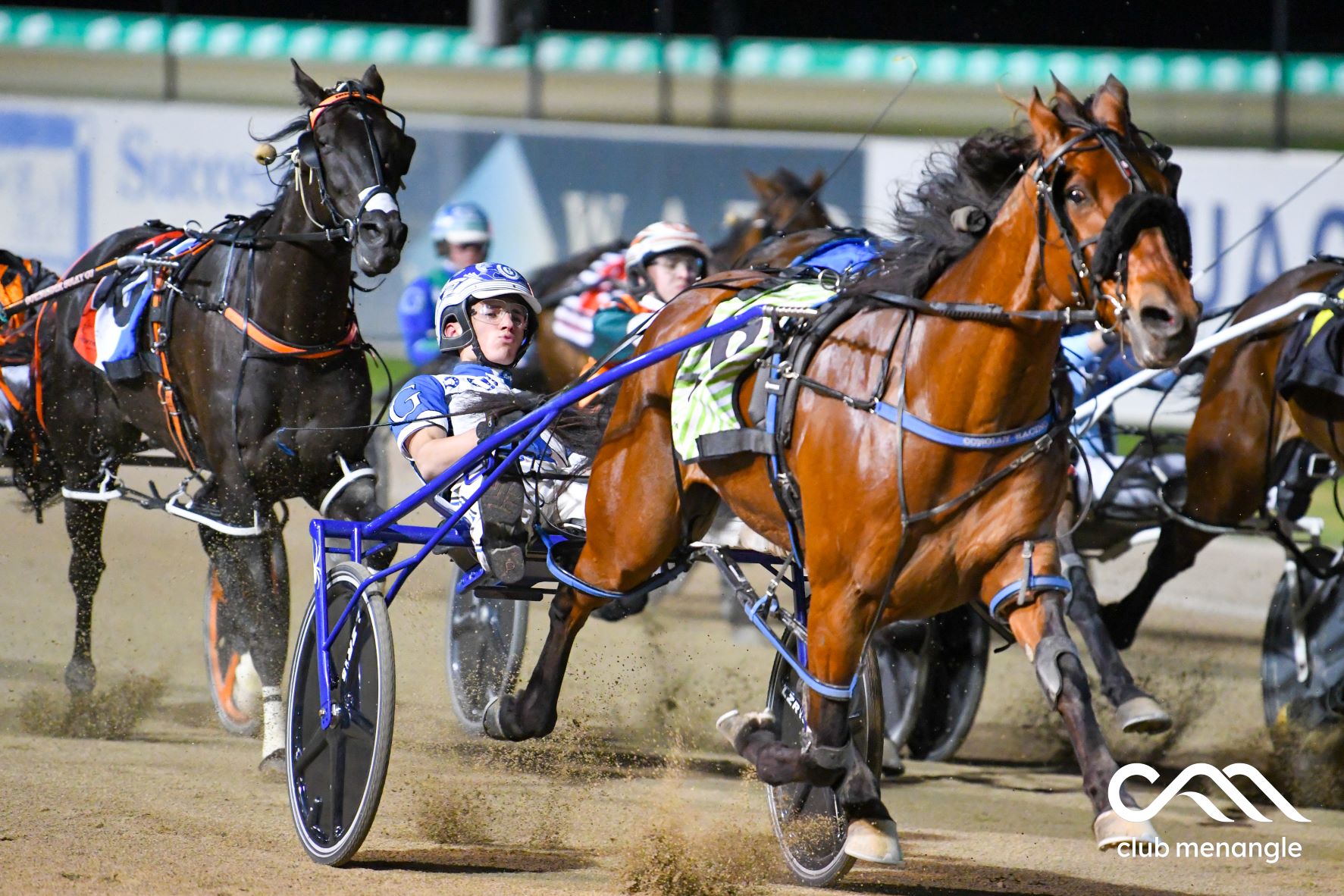 I'm still pinching myself: This is a dream come true