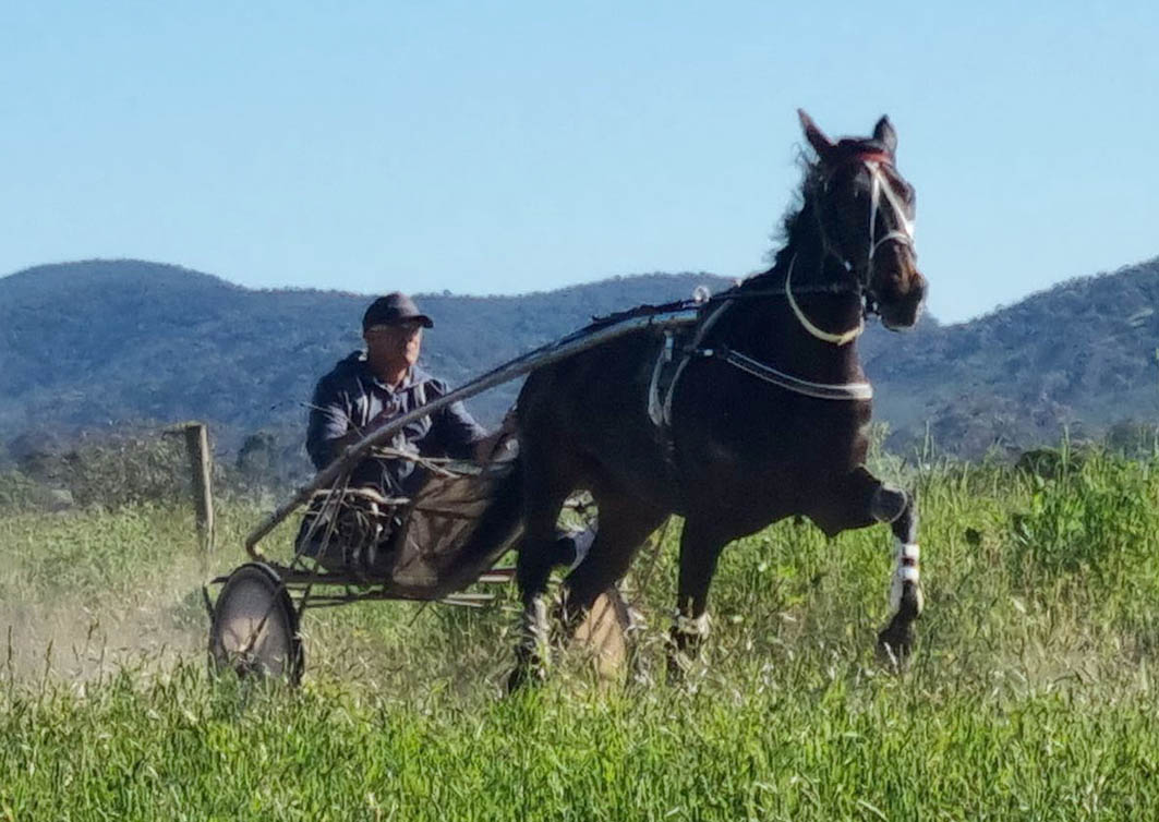 Stepping up after drought-breaking win