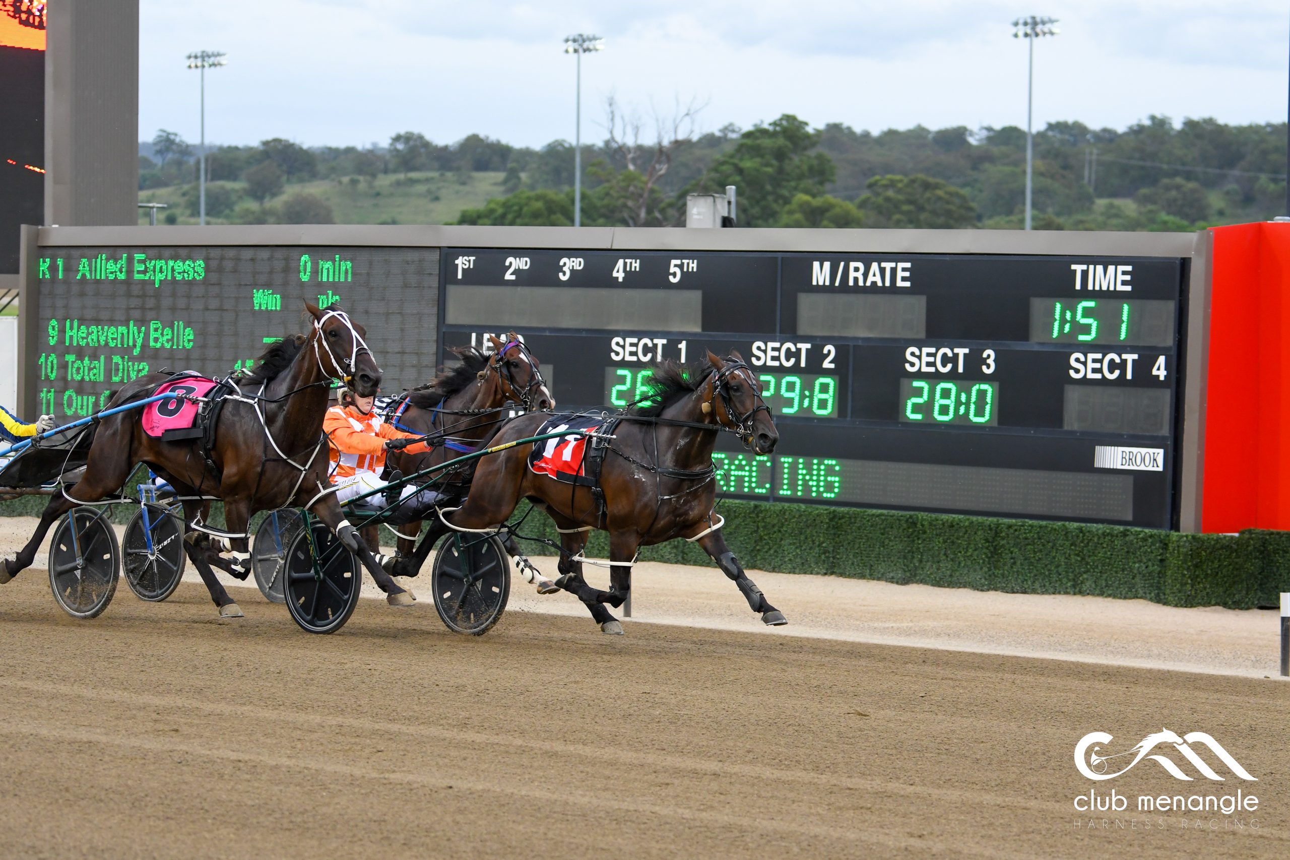 Let's find you a winner for Menangle Saturday night