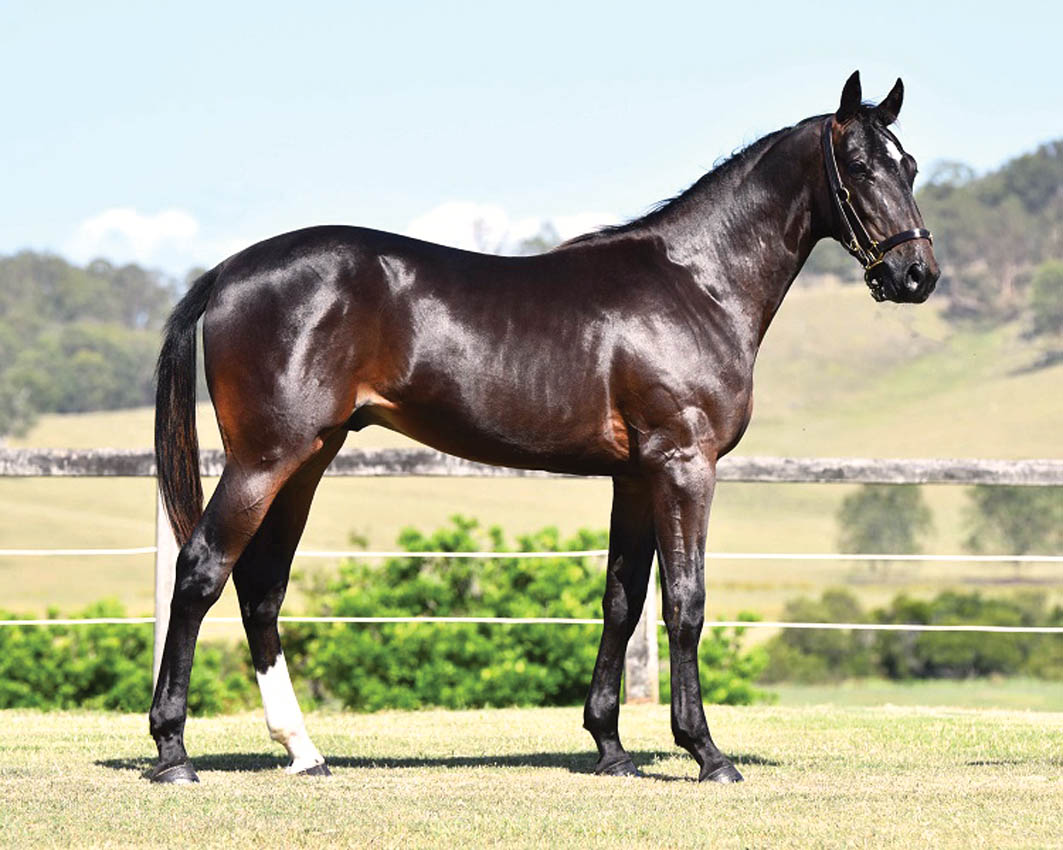 A must watch at 7pm AEST tonight!