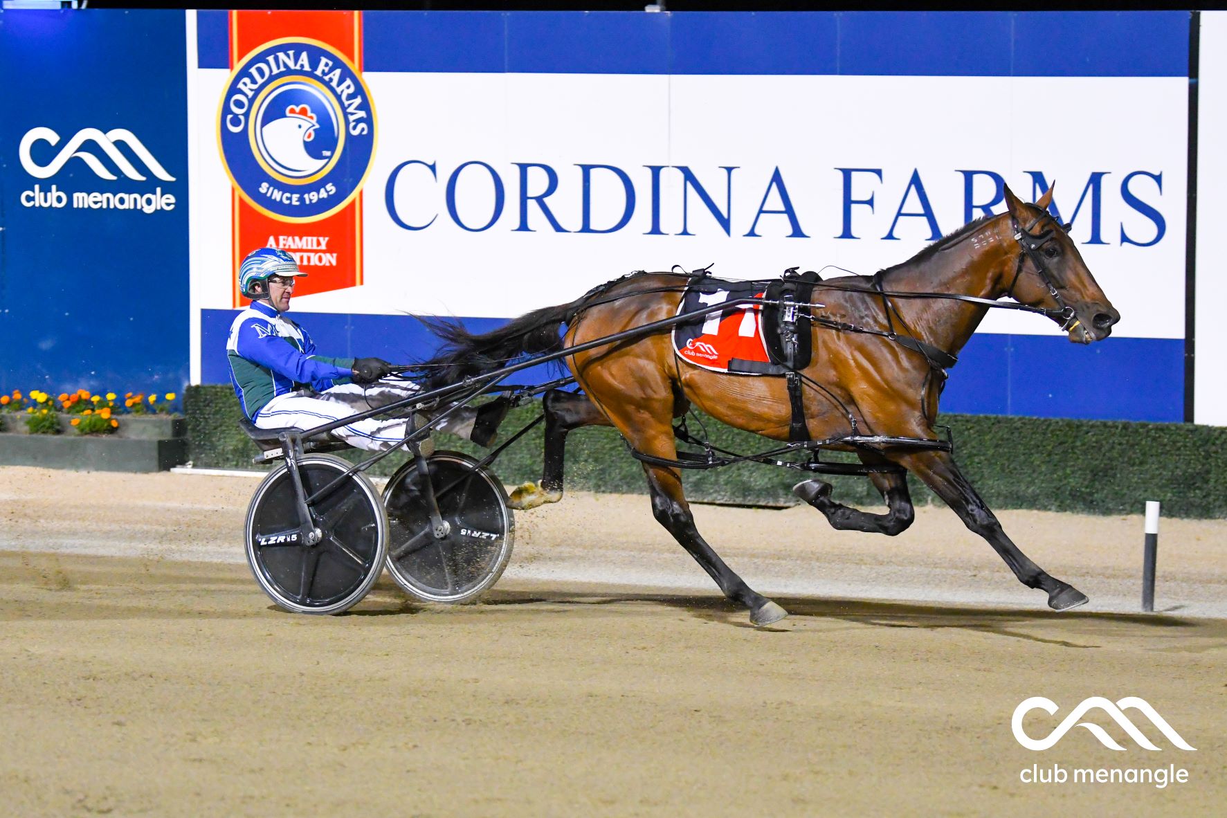 Ego aside, it's all systems go for the Miracle Mile