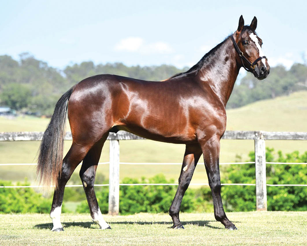 Striking individual from first crop