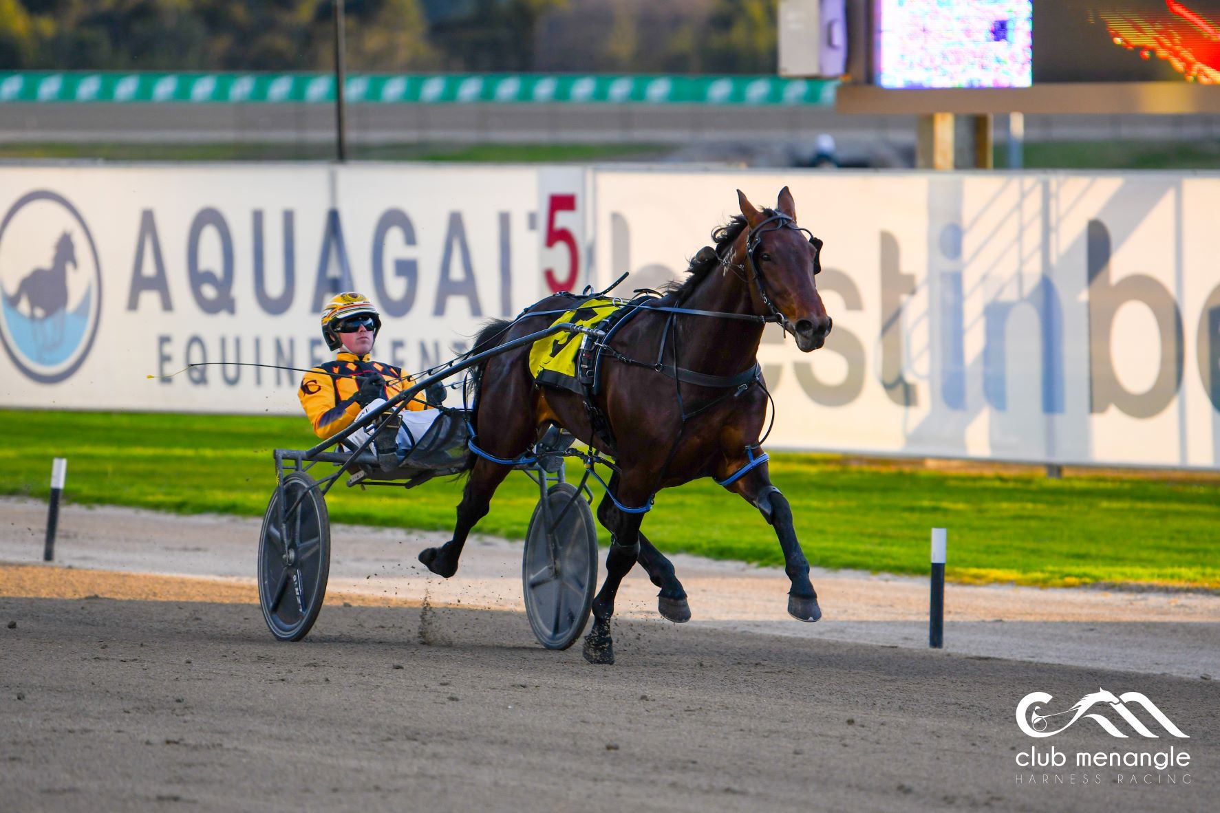 Double failure can strike back at Menangle Tuesday