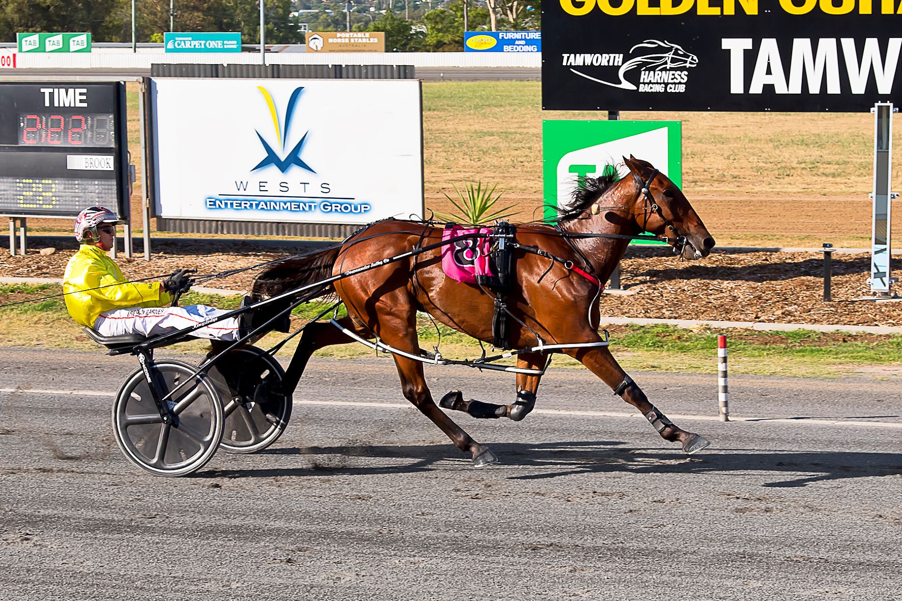 Dwyer digging for more gold