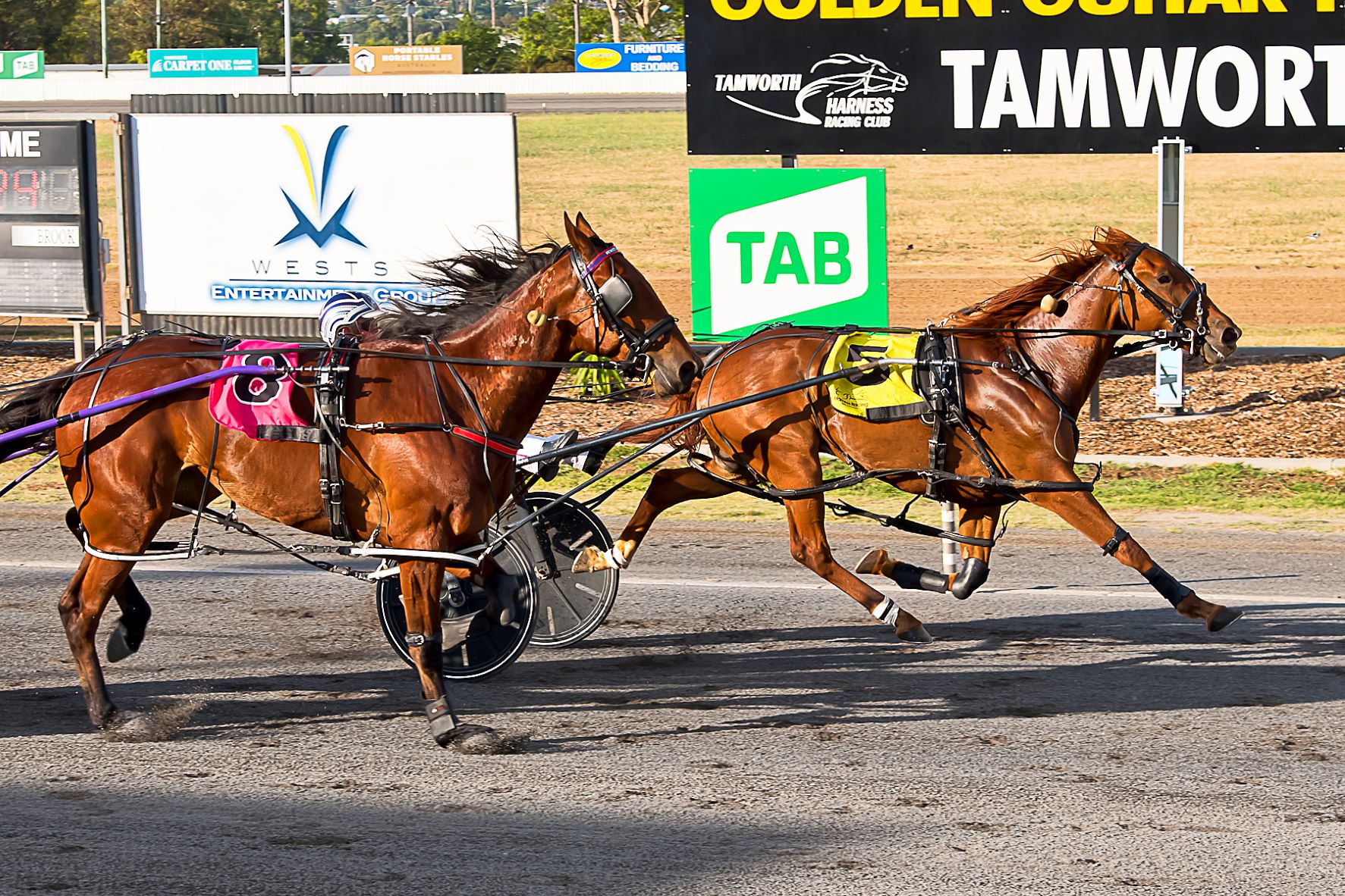 Ison ready for a Final flurry