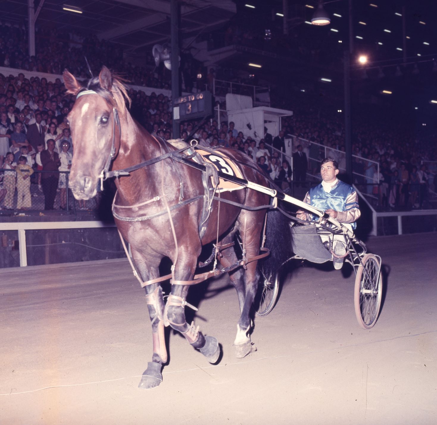 Birthday treat for a ‘Living Legend’ of harness racing