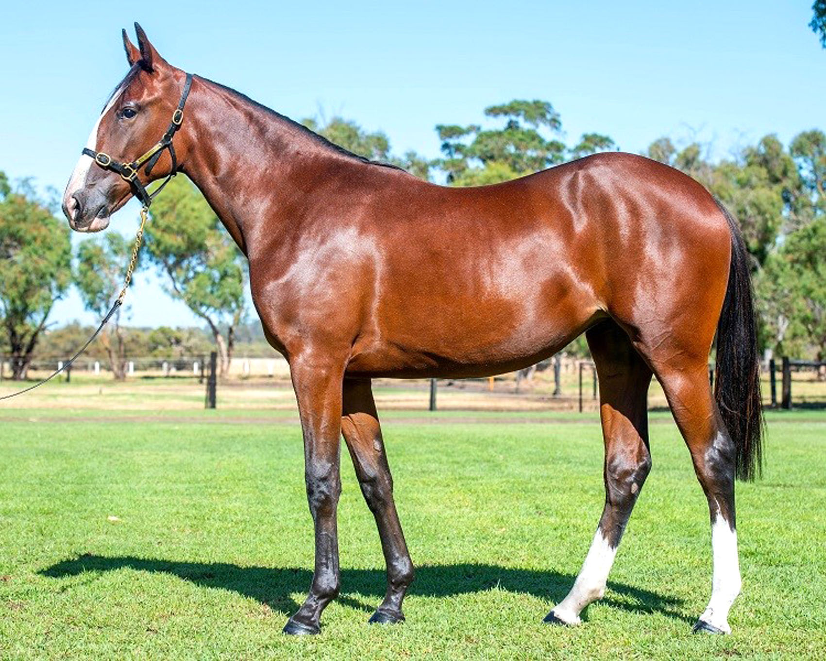 Focusing on quality will drive results