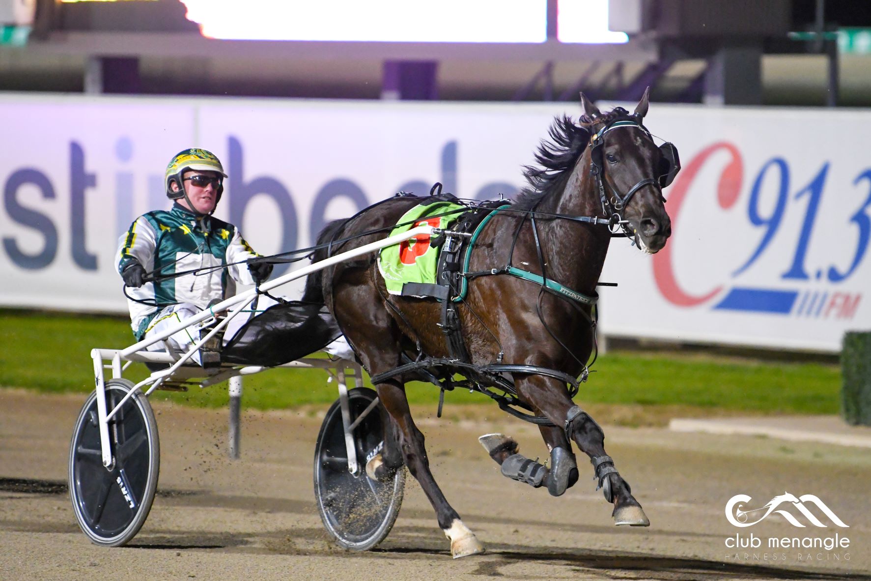 Finding you a winner at Tabcorp Park Menangle Saturday night