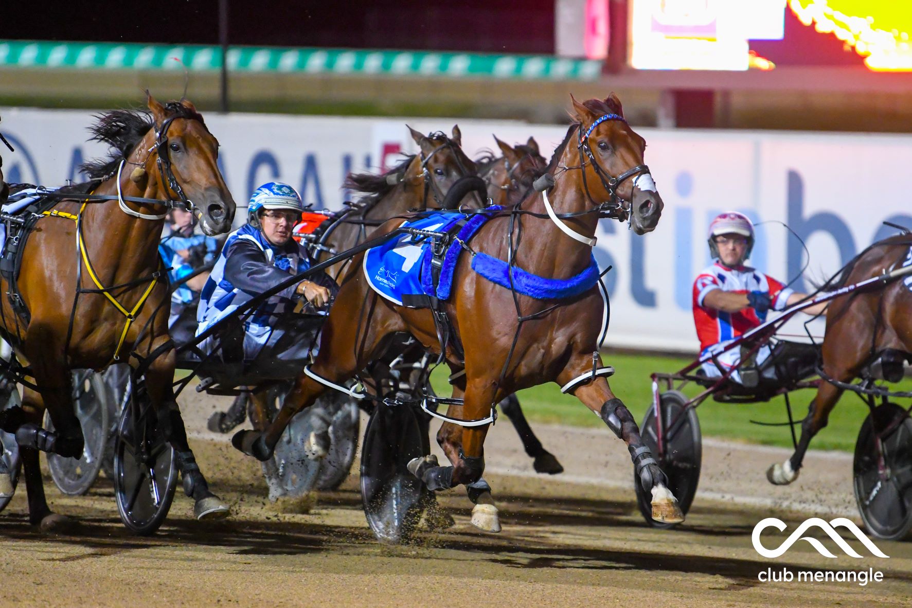 Williams arrives to handle an equine V8