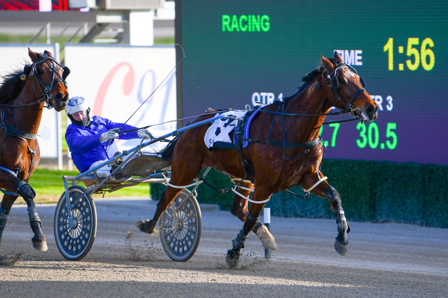 Four specials for Tabcorp Park Menangle Tuesday