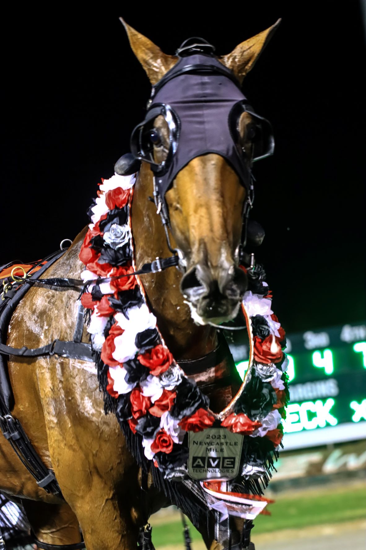 Australia's latest millionaire almost goes unnoticed