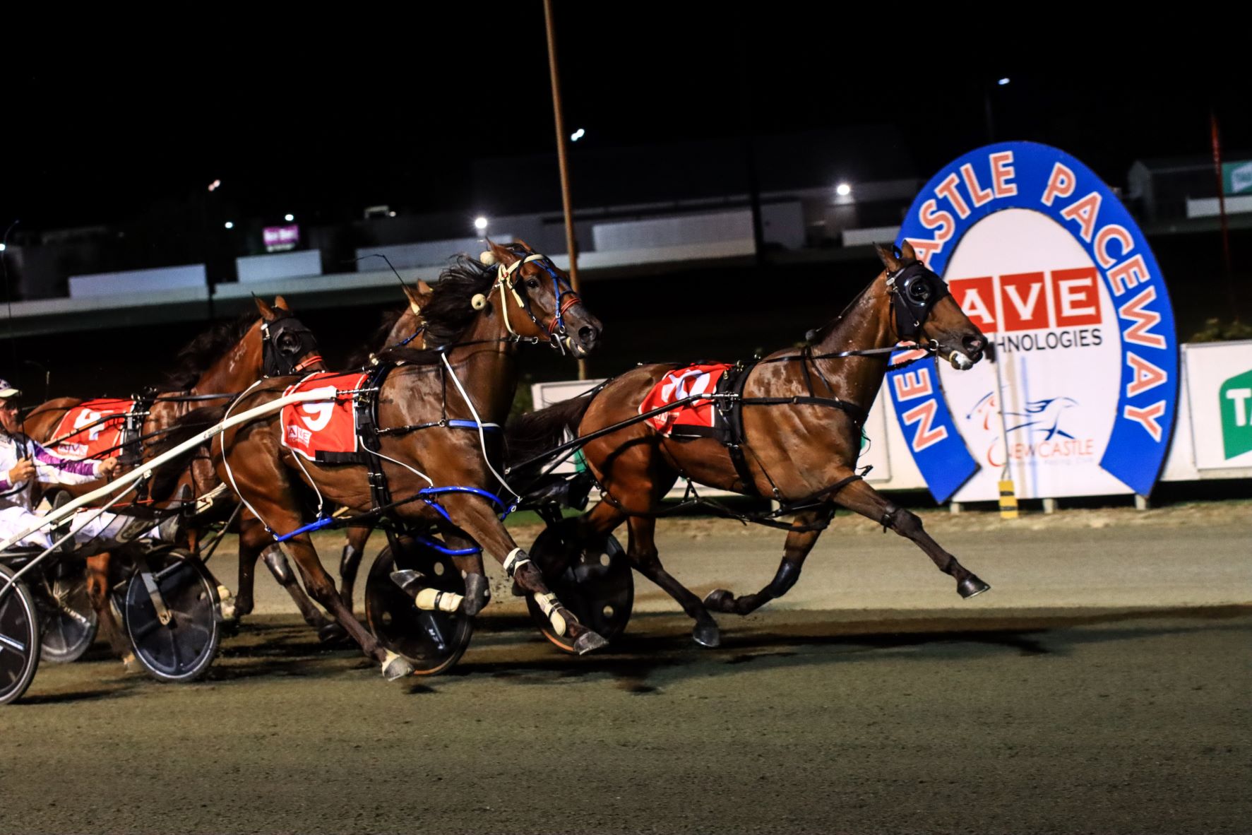 Newcastle going from strength to strength