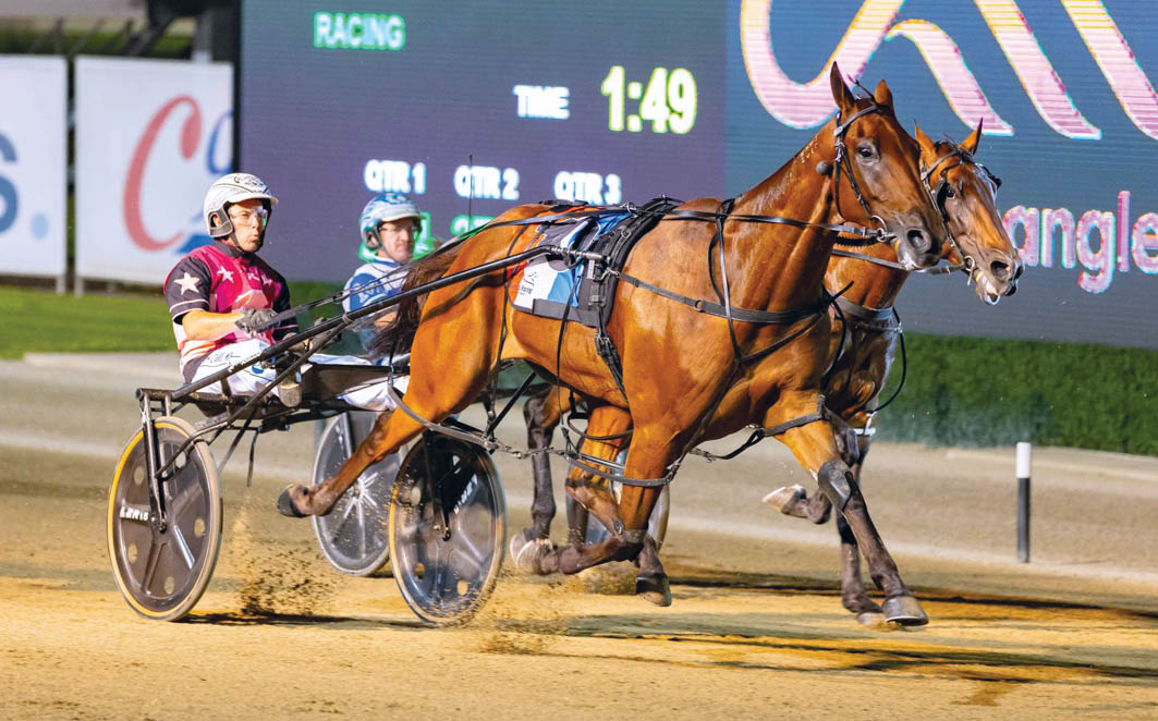 Well-bred debutante to attract attention