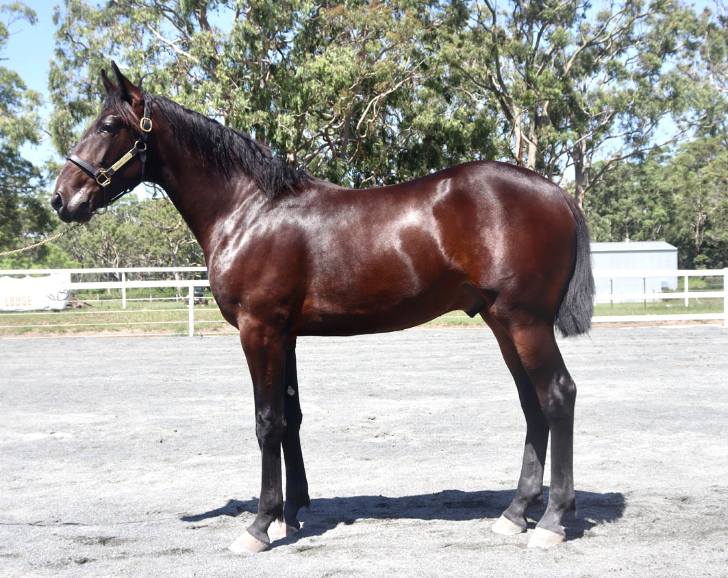 Plenty of glory days ahead for 'Travis'